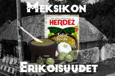 meksikon-erikoisuudet